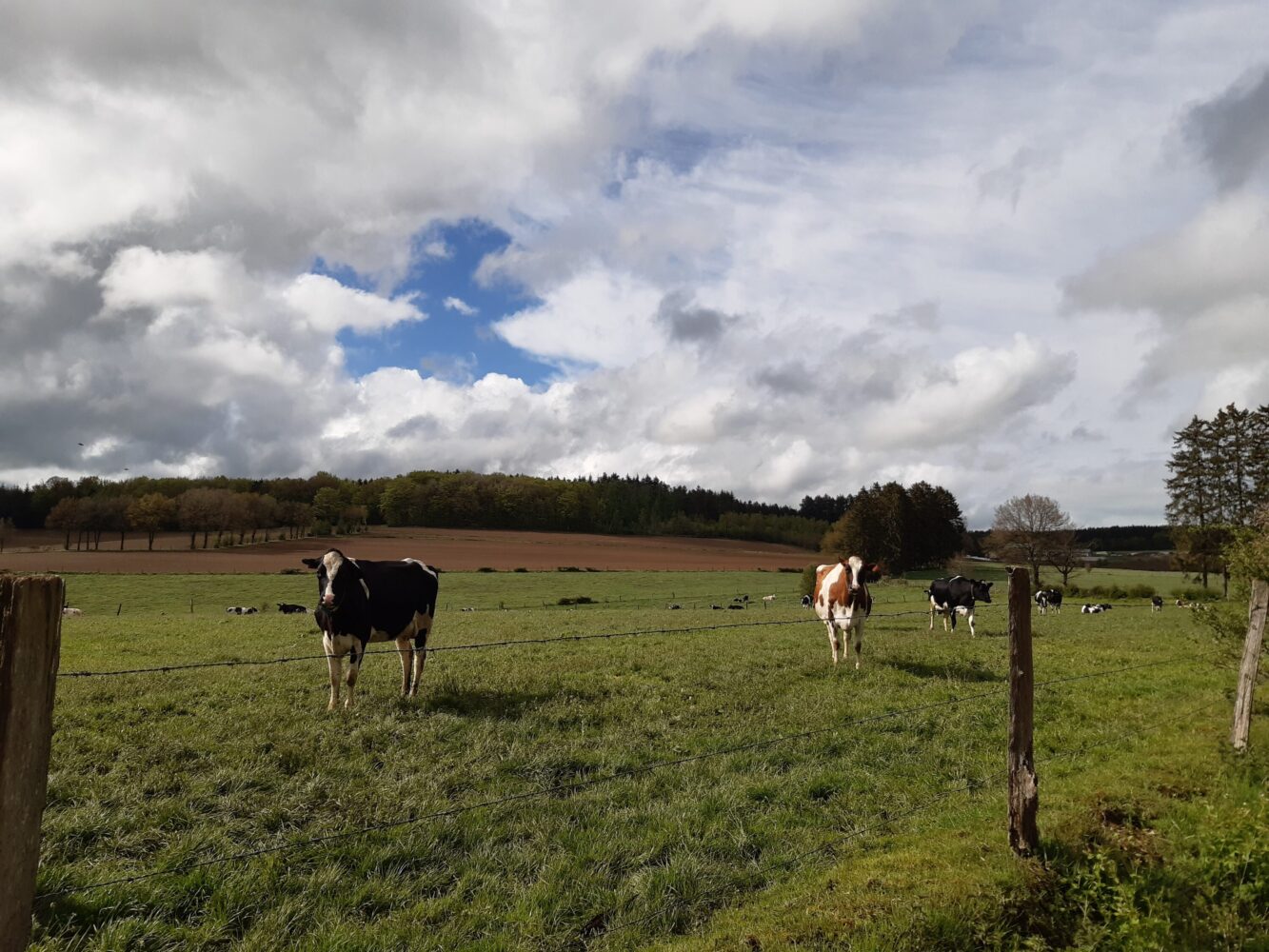 20210524_171757 - Kopie