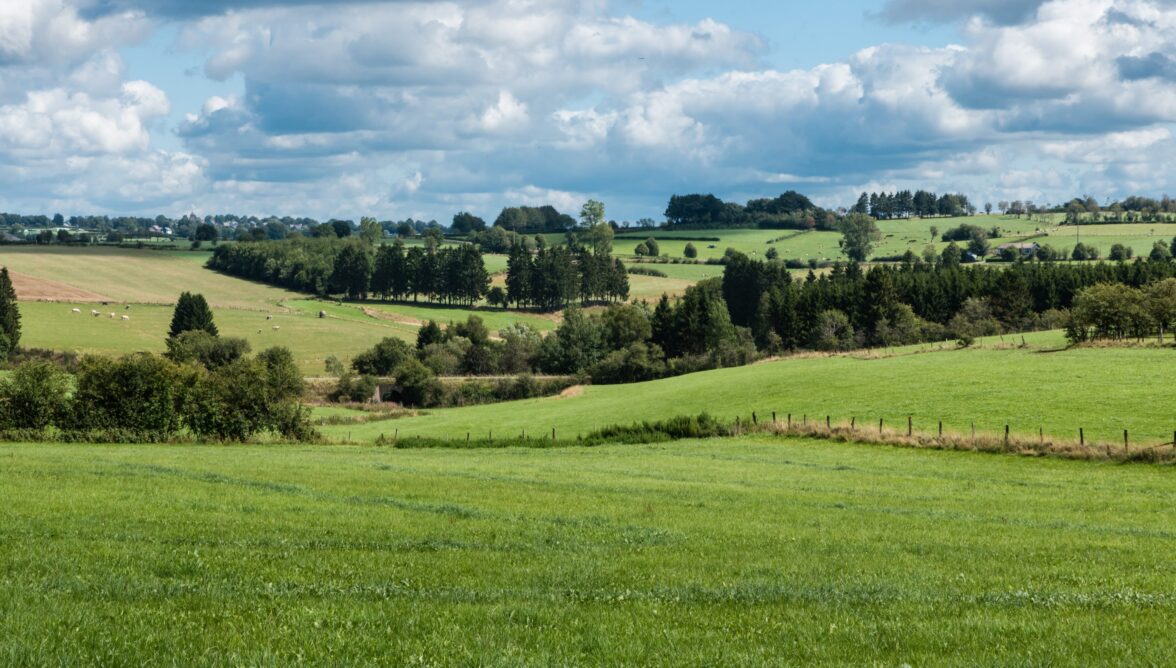 Lorem ipsum dolor sit amet, consectetuer adipiscing elit. Aenean commodo ligula eget dolor. Aenean massa. Cum sociis natoque penatibus et magnis dis parturient montes, nascetur ridiculus mus. Donec quam felis, ultricies nec, pellentesque eu, pretium quis, sem. Nulla consequat massa quis enim. 
