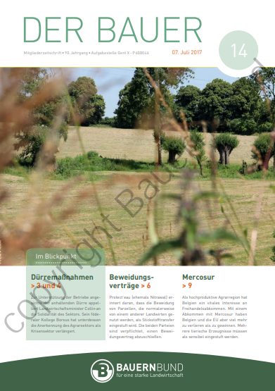 dB1714_cover