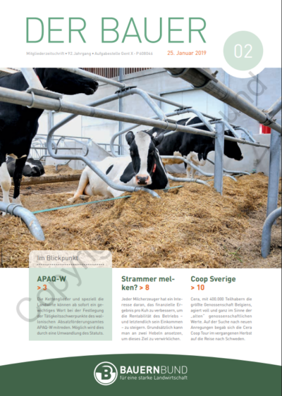 dB1902_cover