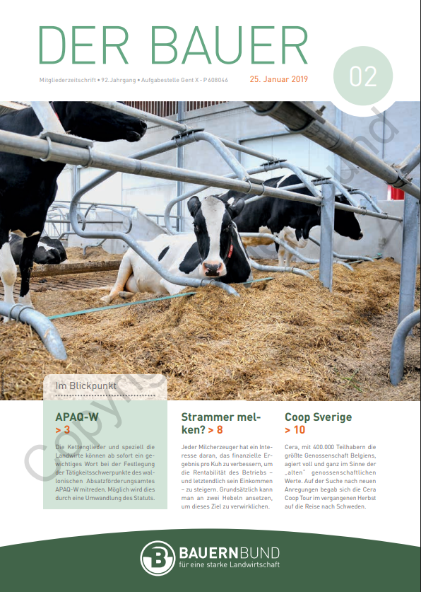 dB1902_cover