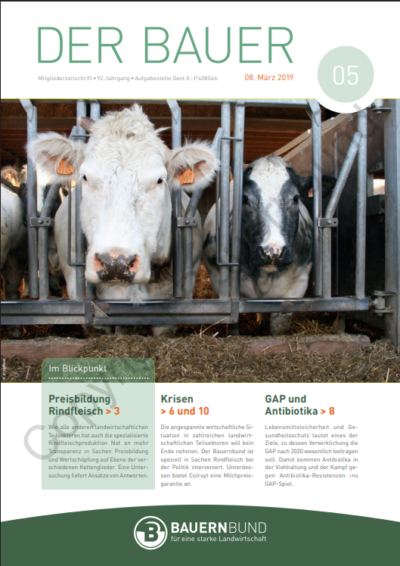 dB1905_cover