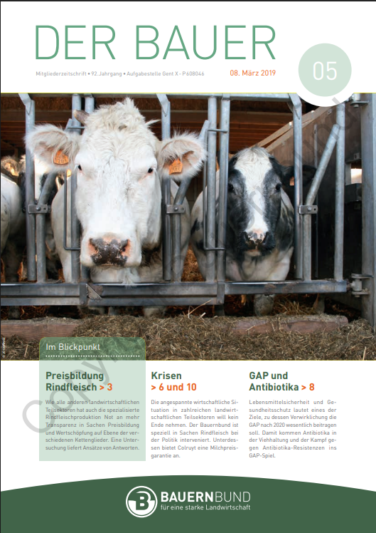 dB1905_cover