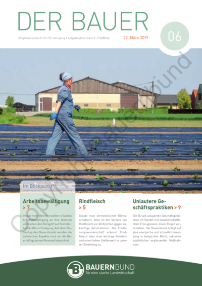 dB1906_cover