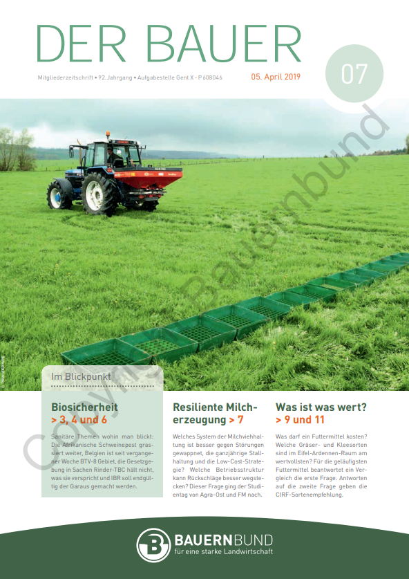 dB1907_cover
