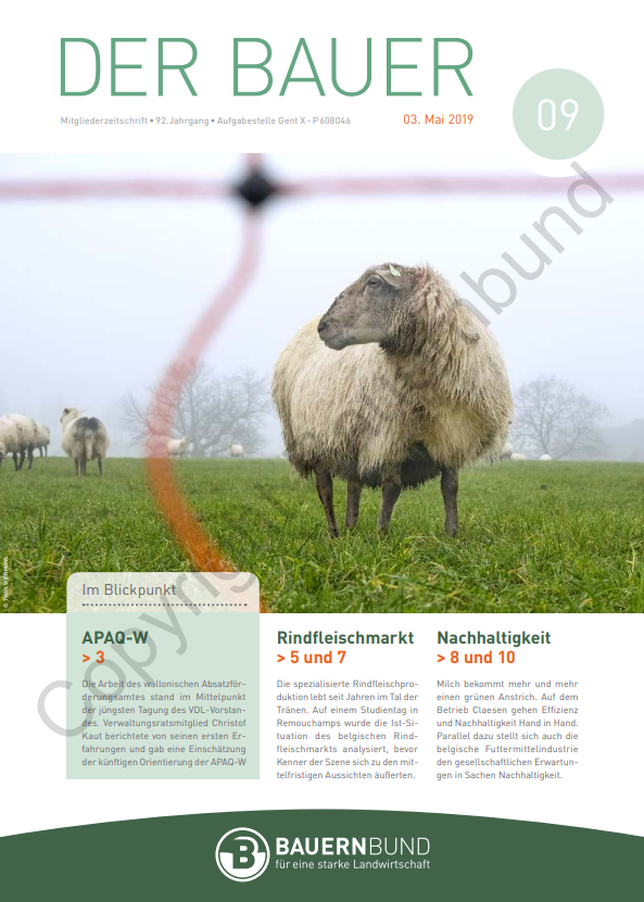 dB1909_cover