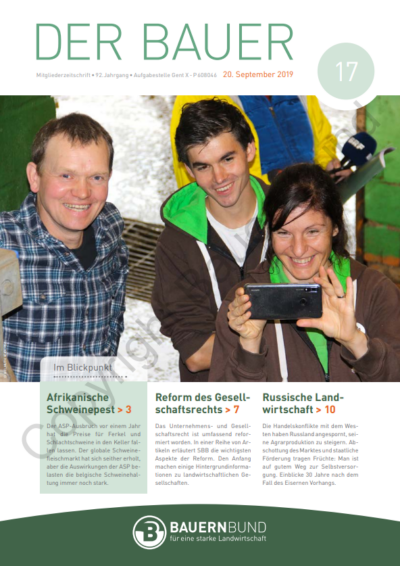 dB1917_cover