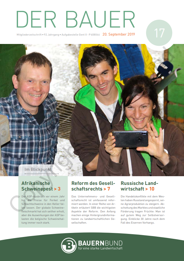dB1917_cover