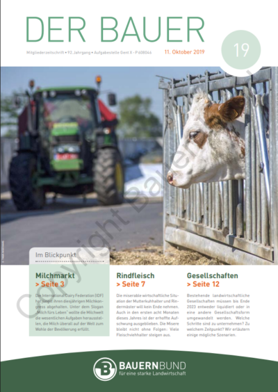 dB1919_cover