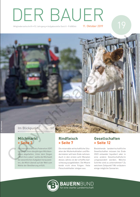 dB1919_cover