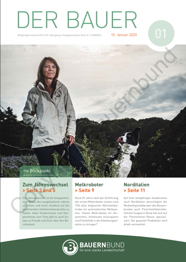 dB2001_cover