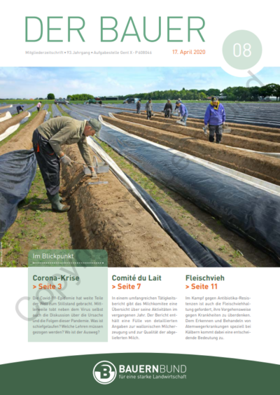 dB2008_cover