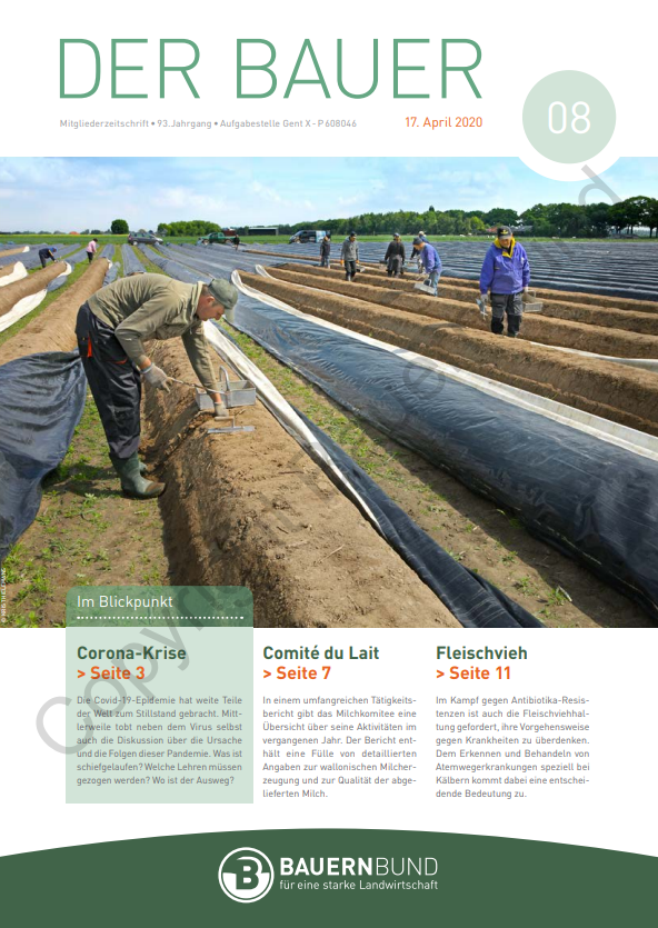 dB2008_cover