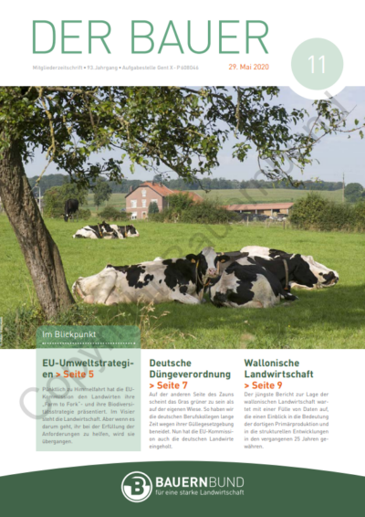 dB2011_cover