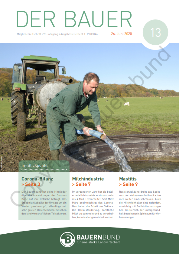 dB2013_cover