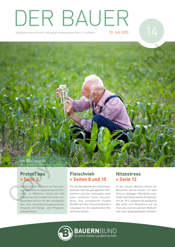 dB2014_cover
