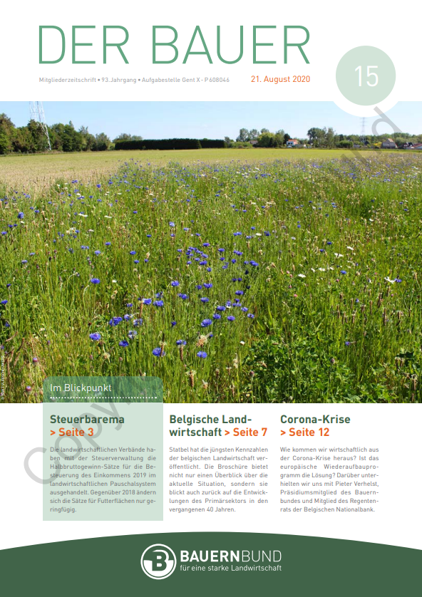 dB2015_cover
