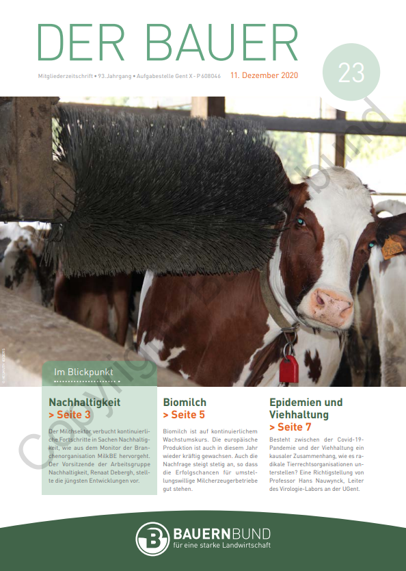dB2023_cover