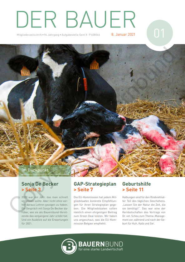 dB2101_cover