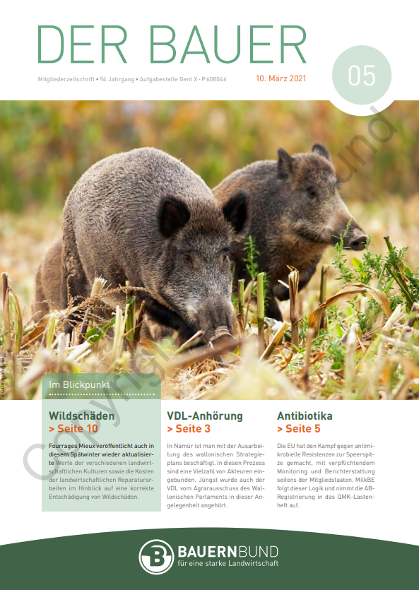 dB2105_cover