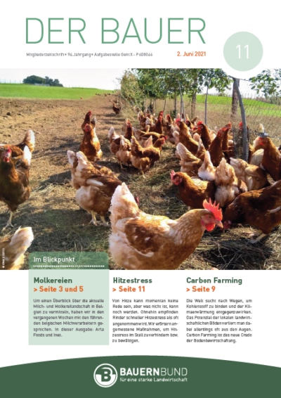 dB2111_cover