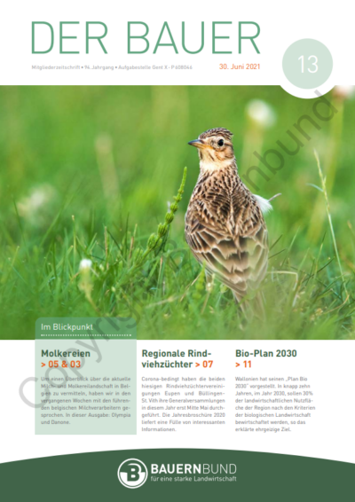 dB2113_cover