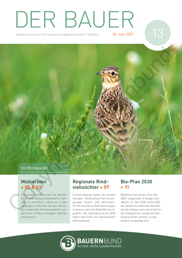 dB2113_cover