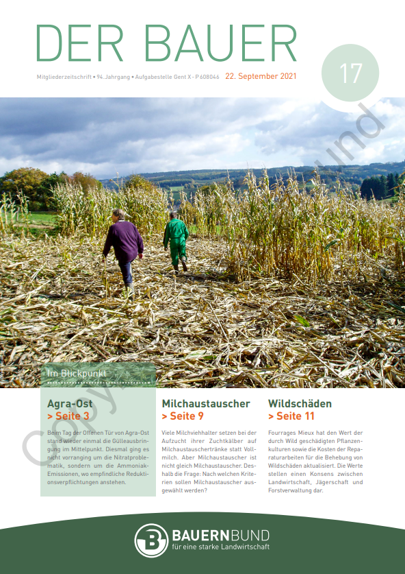dB2117_cover