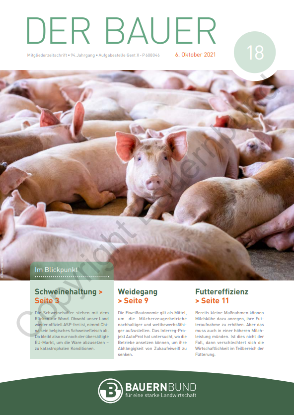 dB2118_cover