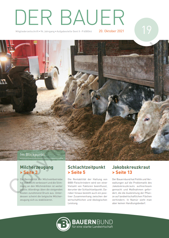 dB2119_cover