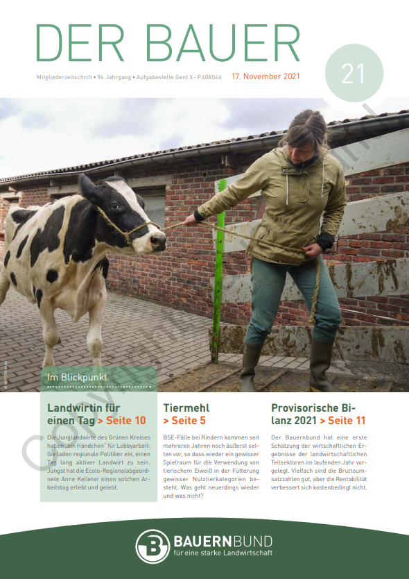 dB2121_cover