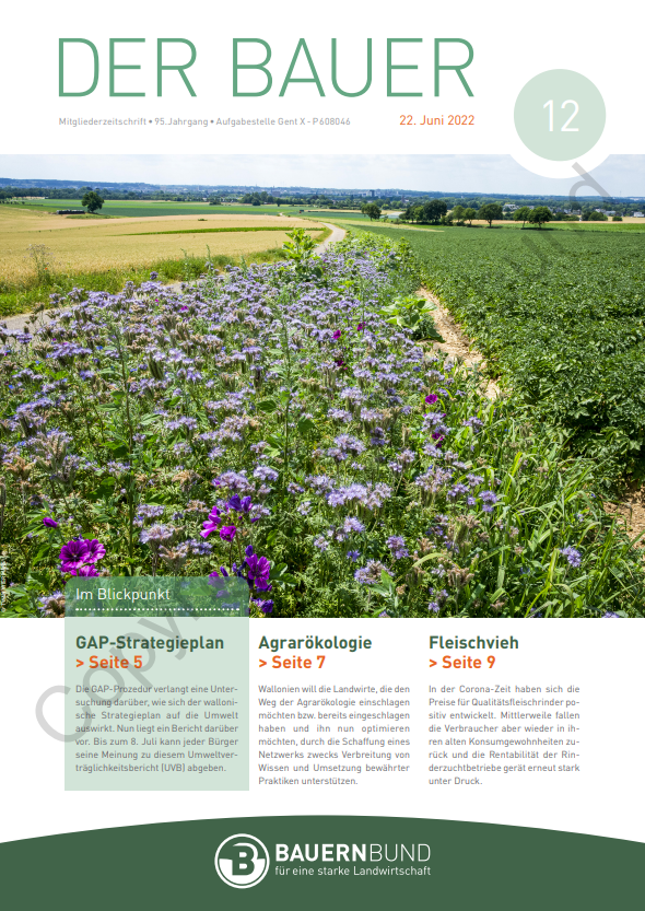 dB2212_cover