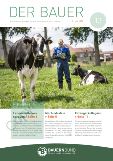 dB2213_cover