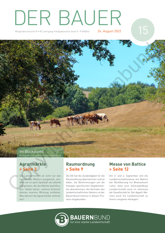 dB2215_cover