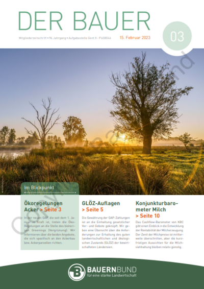 dB2303_cover