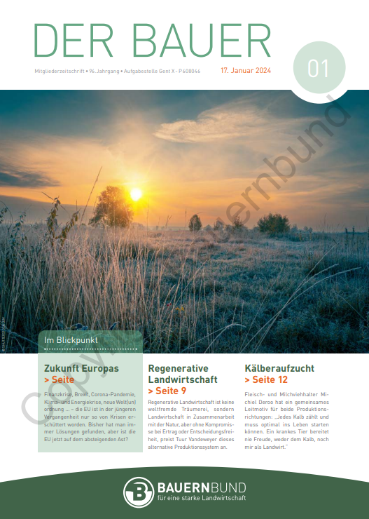 dB2401_cover