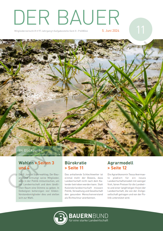 dB2411_cover