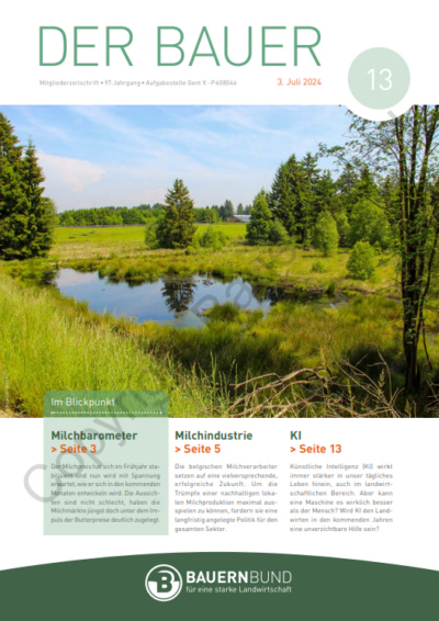 dB2413_cover