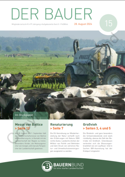 dB2415_cover