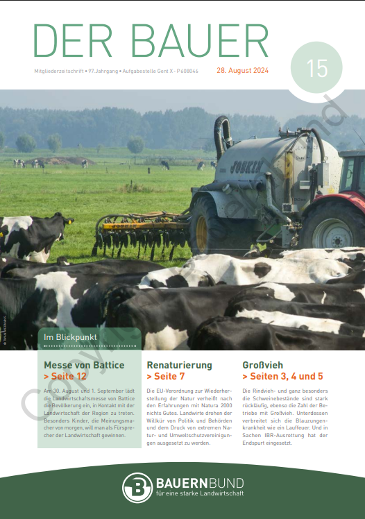 dB2415_cover