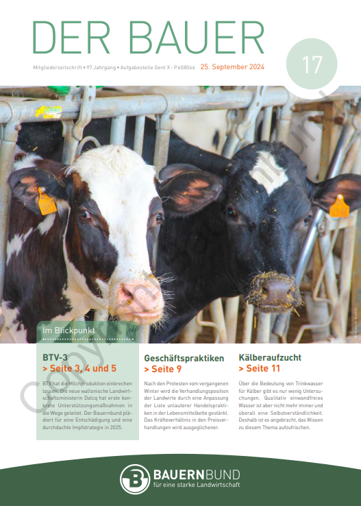 dB2417_cover