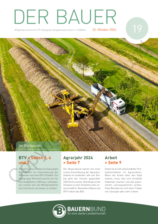dB2419_cover