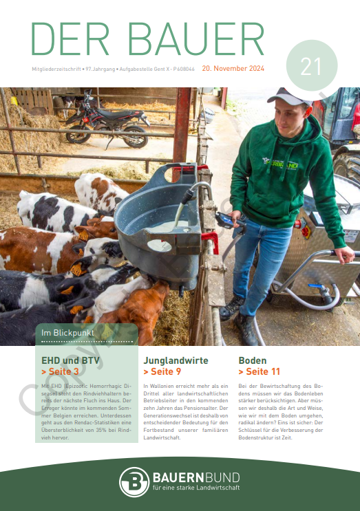 dB2421_cover