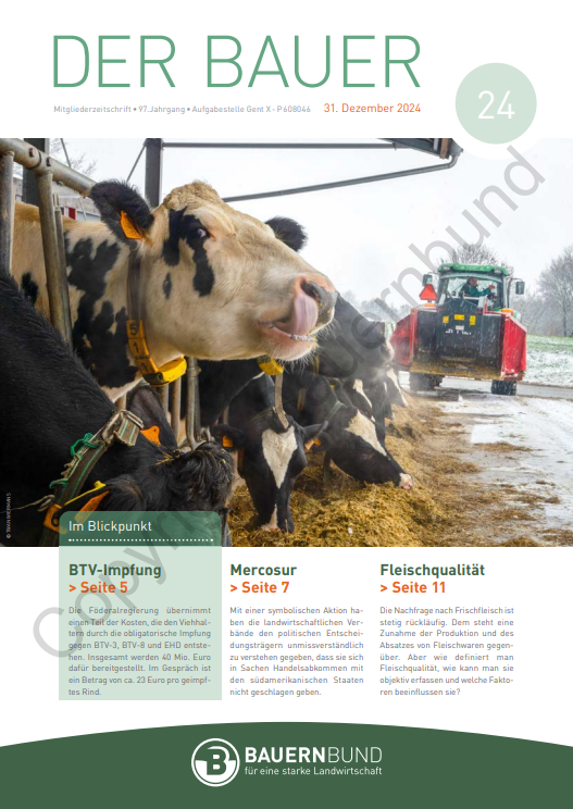 dB2424_cover