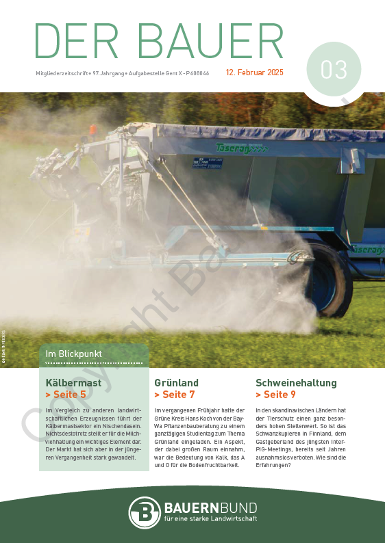 dB2503_cover