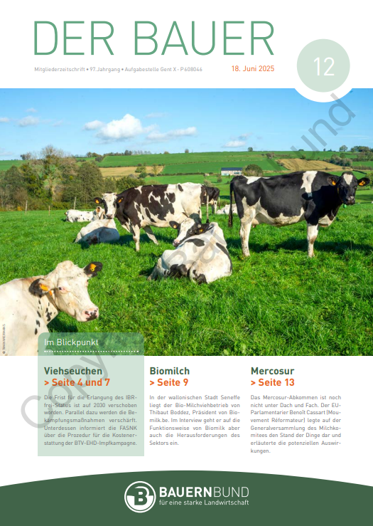 dB2512_cover