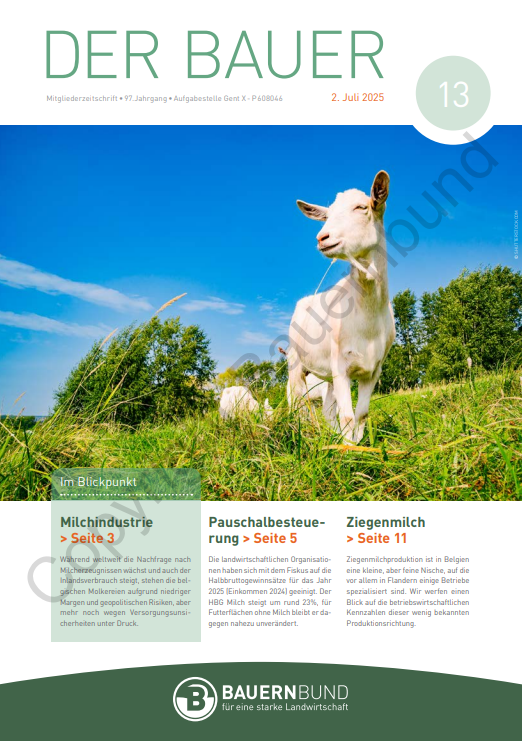dB2513_cover