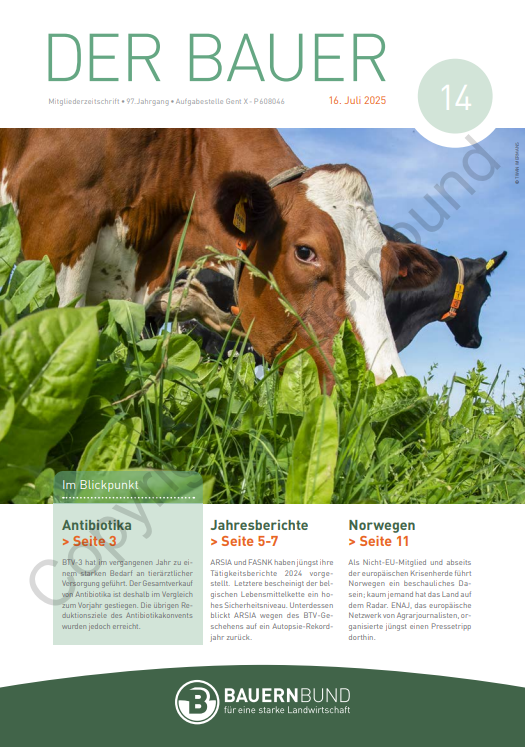 dB2514_cover