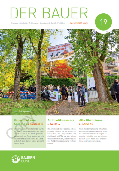 dB2519_cover