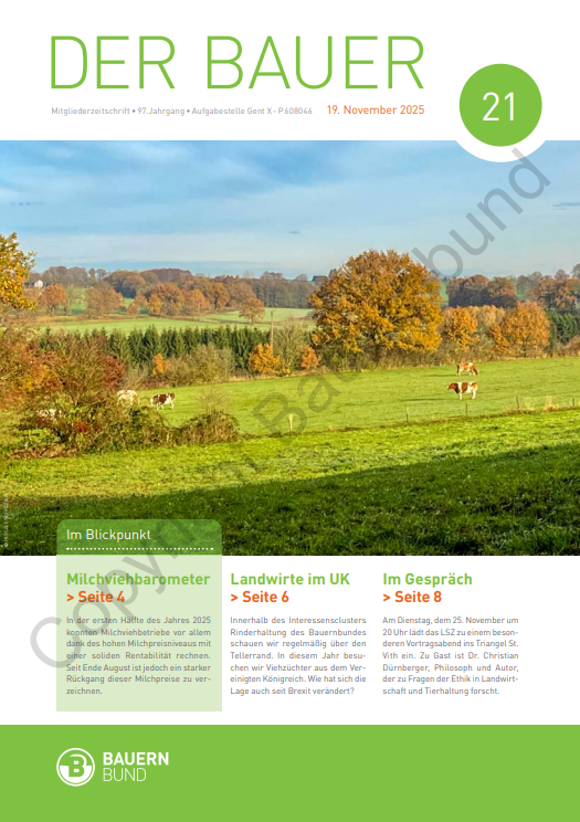 dB2521_cover